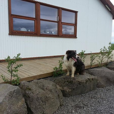 Skalinn Between Gullfoss And Geysir - Myrkholt Farm Haukadalur Bagian luar foto