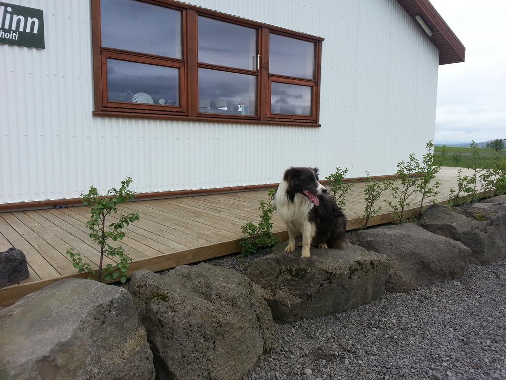 Skalinn Between Gullfoss And Geysir - Myrkholt Farm Haukadalur Bagian luar foto