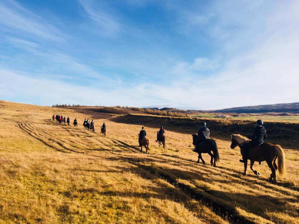 Skalinn Between Gullfoss And Geysir - Myrkholt Farm Haukadalur Bagian luar foto
